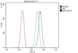 Invitrogen DDT Polyclonal Antibody 100 &mu;g; Unconjugated:Antibodies,