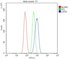 Invitrogen LATS1 Polyclonal Antibody 100 &mu;g; Unconjugated:Antibodies,