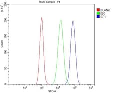 Invitrogen SP1 Polyclonal Antibody 100 &mu;g; Unconjugated:Antibodies,