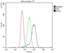 Invitrogen BTLA Polyclonal Antibody 100 &mu;g | Buy Online | Invitrogen&trade; | Fisher Scientific