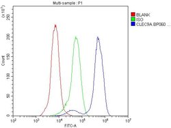 Invitrogen CLEC9A Polyclonal Antibody 100 &mu;g; Unconjugated:Antibodies,