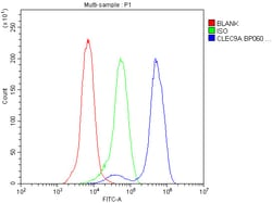 Invitrogen CLEC9A Polyclonal Antibody 100 &mu;g; Unconjugated:Antibodies,