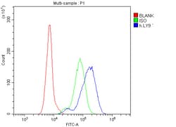 Invitrogen CD229 Polyclonal Antibody 100 &mu;g; Unconjugated:Antibodies,