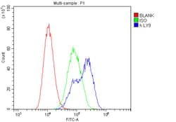 Invitrogen CD229 Polyclonal Antibody 100 &mu;g; Unconjugated:Antibodies,
