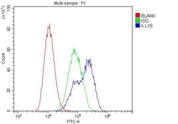 Invitrogen CD229 Polyclonal Antibody 100 &mu;g; Unconjugated:Antibodies,