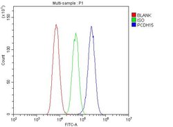 Invitrogen PCDH15 Polyclonal Antibody 100 &mu;g | Buy Online | Invitrogen&trade; | Fisher Scientific