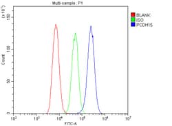 Invitrogen PCDH15 Polyclonal Antibody 100 &mu;g | Buy Online | Invitrogen&trade; | Fisher Scientific