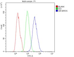Invitrogen Sorcin Polyclonal Antibody 100 &mu;g; Unconjugated:Antibodies,