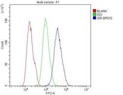 Invitrogen Sorcin Polyclonal Antibody 100 &mu;g; Unconjugated:Antibodies,