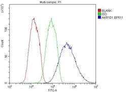 Invitrogen AKR1D1 Polyclonal Antibody 100 &mu;g; Unconjugated:Antibodies,