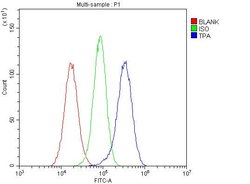 Invitrogen tPA Polyclonal Antibody 100 &mu;g; Unconjugated:Antibodies,