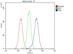 Invitrogen tPA Polyclonal Antibody 100 &mu;g; Unconjugated:Antibodies,