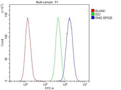 Invitrogen RMI2 Polyclonal Antibody 100 &mu;g | Buy Online | Invitrogen&trade; | Fisher Scientific