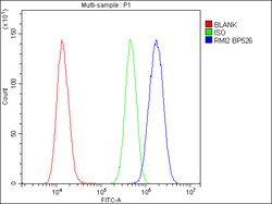 Invitrogen RMI2 Polyclonal Antibody 100 &mu;g | Buy Online | Invitrogen&trade; | Fisher Scientific