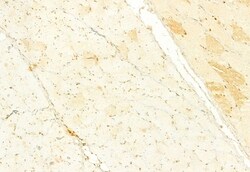 Invitrogen KEAP1 Polyclonal Antibody 100 &mu;L; Unconjugated:Antibodies,