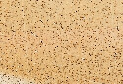 Invitrogen SHARPIN Polyclonal Antibody 100 &mu;L | Buy Online | Invitrogen&trade; | Fisher Scientific