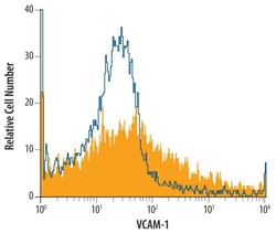 Invitrogen VCAM-1 Polyclonal Antibody 100 &mu;g | Buy Online | Invitrogen&trade; | Fisher Scientific