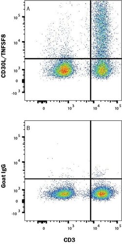 Invitrogen CD153 Polyclonal Antibody 100 &mu;g; Unconjugated:Antibodies,