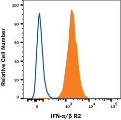 Invitrogen IFNAR2 Polyclonal Antibody 100 &mu;g; Unconjugated:Antibodies,