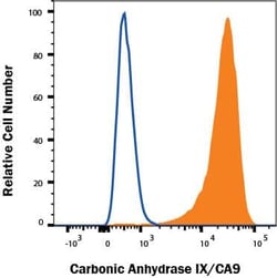 Invitrogen Carbonic Anhydrase IX Polyclonal Antibody 100 &mu;g; Unconjugated:Antibodies,