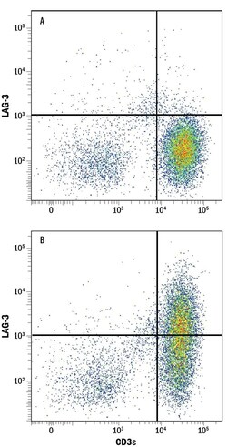 Invitrogen CD223 Polyclonal Antibody 100 &mu;g; Unconjugated:Antibodies,