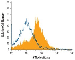 Invitrogen CD73 Polyclonal Antibody 100 &mu;g; Unconjugated:Antibodies,
