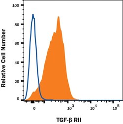 Invitrogen TGFBR2 Polyclonal Antibody 100 &mu;g; Unconjugated:Antibodies,