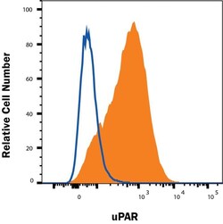 Invitrogen uPAR Polyclonal Antibody 100 &mu;g; Unconjugated:Antibodies,