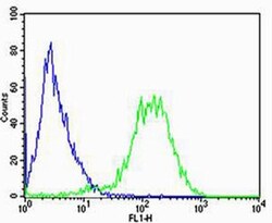 RPL6 Rabbit anti-Human, Polyclonal, Invitrogen 400 &mu;L; Unconjugated:Antibodies,