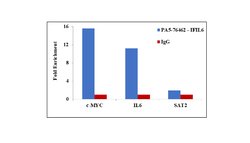 Invitrogen IFI16 Polyclonal Antibody 100 &mu;L | Buy Online | Invitrogen&trade; | Fisher Scientific