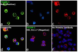 TRIF Polyclonal Antibody, Invitrogen 100 &mu;g; Unconjugated:Antibodies,