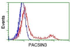 PACSIN3 Monoclonal Antibody (OTI2E4), TrueMAB , OriGene 30 &mu;L; Unconjugated:Antibodies,
