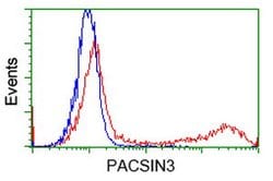 PACSIN3 Mouse anti-Canine, Human, Rat, Clone: OTI2A6, lyophilized, TrueMAB