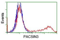 PACSIN3 Monoclonal Antibody (OTI4G7), TrueMAB , OriGene 30 &mu;L; Unconjugated:Antibodies,