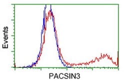 PACSIN3 Monoclonal Antibody (OTI4A7), TrueMAB , OriGene 100 &mu;L; Unconjugated:Antibodies,
