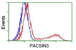 PACSIN3 Mouse anti-Human, Clone: OTI4C5, lyophilized, TrueMAB 100 &mu;g;