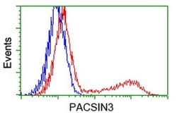 PACSIN3 Monoclonal Antibody (OTI4C5), TrueMAB , OriGene 100 &mu;L; Unconjugated:Antibodies,