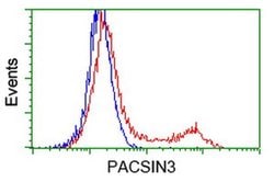 PACSIN3 Monoclonal Antibody (OTI4F8), TrueMAB , OriGene 30 &mu;L; Unconjugated:Antibodies,