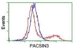 PACSIN3 Monoclonal Antibody (OTI2A3), TrueMAB , OriGene 100 &mu;L; Unconjugated:Antibodies,