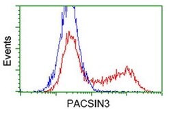 PACSIN3 Monoclonal Antibody (OTI1E1), TrueMAB , OriGene 30 &mu;L; Unconjugated:Antibodies,