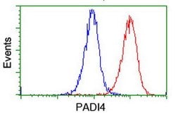 PADI4 Mouse anti-Human, Clone: OTI4H5, lyophilized, TrueMAB 100 &mu;g;