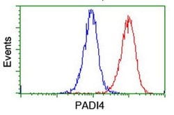PADI4 Mouse anti-Human, Clone: OTI4H5, liquid, TrueMAB 100 &mu;L; Unconjugated:Antibodies,