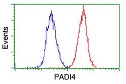 PADI4 Mouse anti-Human, Clone: OTI5B7, lyophilized, TrueMAB 100 &mu;g;
