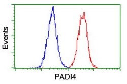 PADI4 Mouse anti-Human, Clone: OTI5B7, lyophilized, TrueMAB 100 &mu;g;