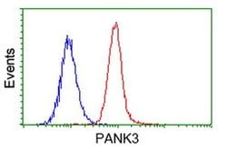 PANK3 Monoclonal Antibody (OTI3C4), TrueMAB , OriGene 100 &mu;L; Unconjugated:Antibodies,