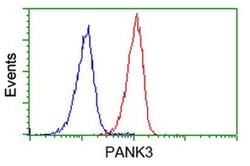 PANK3 Monoclonal Antibody (OTI3C4), TrueMAB , OriGene 100 &mu;L; Unconjugated:Antibodies,