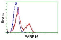 PARP16 Mouse anti-Human, Clone: OTI2C8, liquid, TrueMAB 100 &mu;L | Buy Online | Origene Technologies | Fisher Scientific