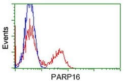 PARP16 Mouse anti-Human, Clone: OTI4E2, liquid, TrueMAB 100 &mu;L; Unconjugated:Antibodies,