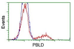 PBLD Monoclonal Antibody (OTI2B5), TrueMAB , OriGene:Antibodies:Primary