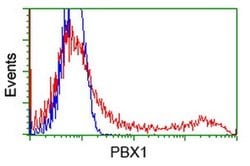 PBX1 Mouse anti-Human, Clone: OTI1D9, liquid, TrueMAB 30 &mu;L; Unconjugated:Antibodies,